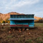 Poulailler mobile sur roues au milieu d'un pré avec des poules